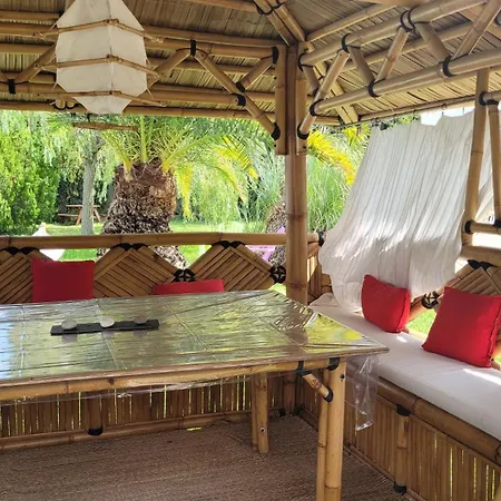 Tropica 2 Confort Climatise Nîmes